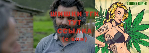 сатива Вязники